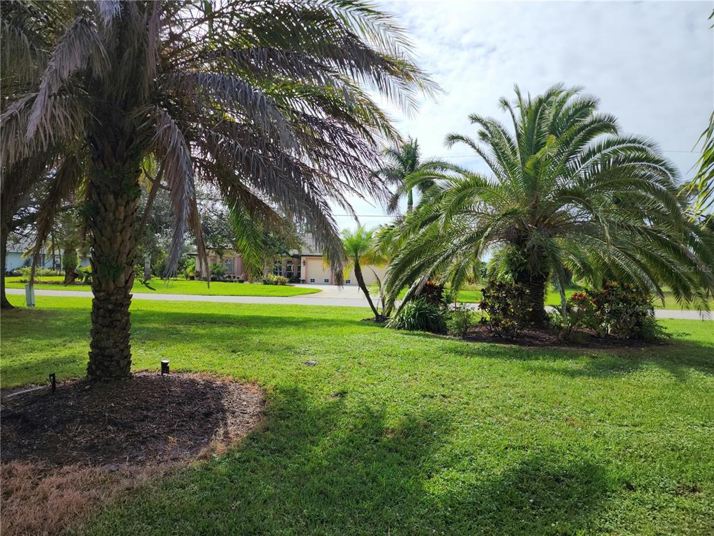 A grassy front yard features two large palm trees and a house in the background — 266 LONG MEADOW LANE, ROTONDA WEST, FL