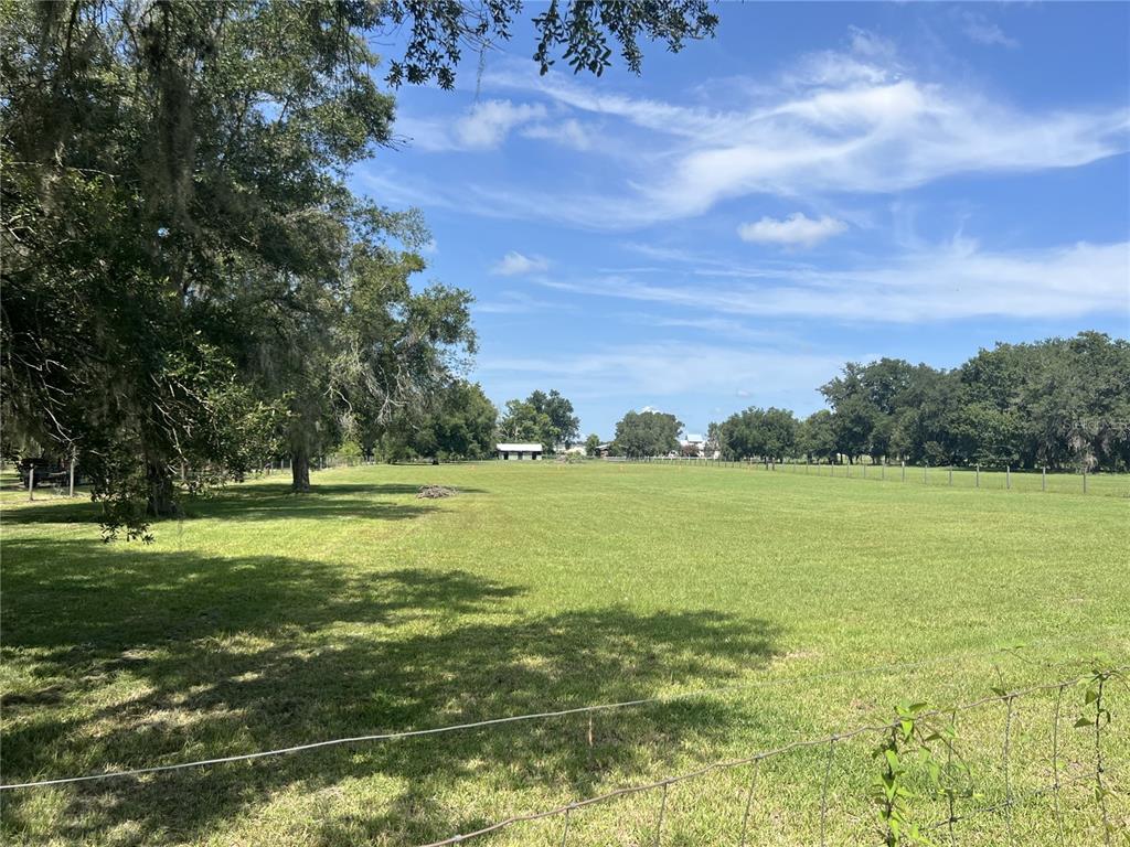A wide, grassy pasture is enclosed by wire fencing under a bright, partly cloudy sky — OLD LAKELAND HIGHWAY, DADE CITY, FL