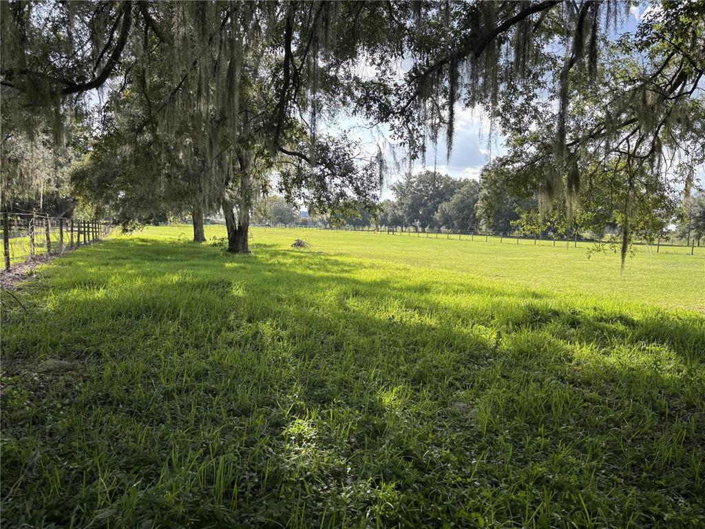 A grassy pasture is bordered by a wire fence and large trees with Spanish moss — OLD LAKELAND HIGHWAY, DADE CITY, FL