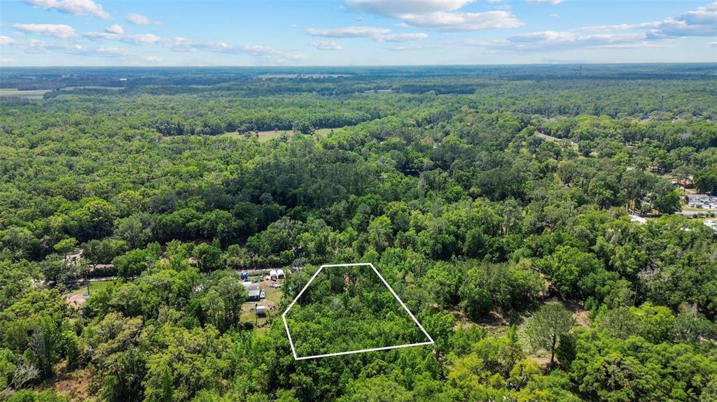 An aerial view shows a wooded lot outlined in white amidst a dense forest — 0 MUDDY WATER TRAIL, THONOTOSASSA, FL