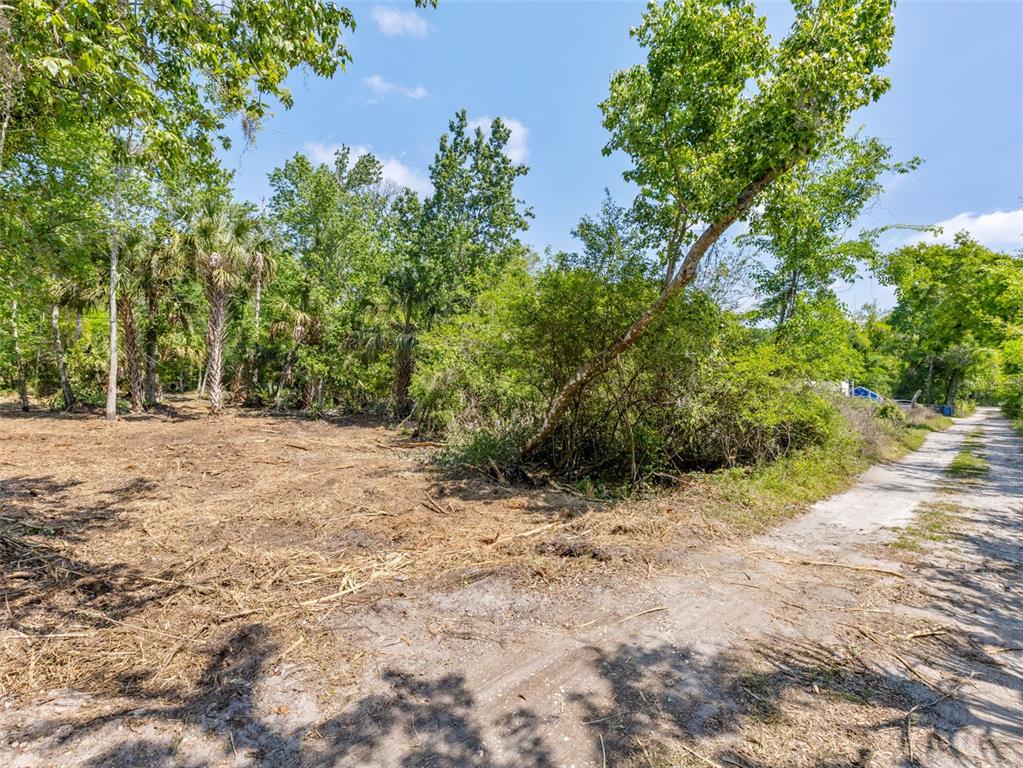 A dirt path runs alongside a cleared, wooded lot with scattered debris and palm trees — 0 MUDDY WATER TRAIL, THONOTOSASSA, FL