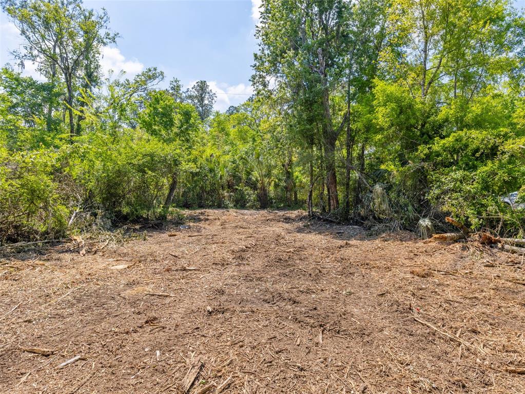 A cleared, dirt-covered lot is surrounded by dense green trees and vegetation — 0 MUDDY WATER TRAIL, THONOTOSASSA, FL
