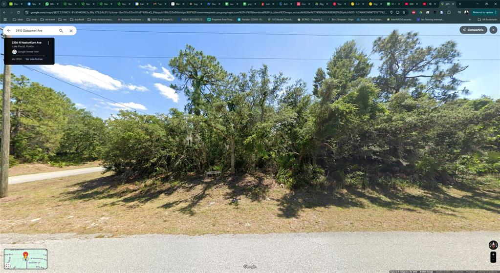 A dense, wooded vacant lot with mature trees and shrubs sits along a paved road — 3410 GOSSAMER AVENUE, LAKE PLACID, FL