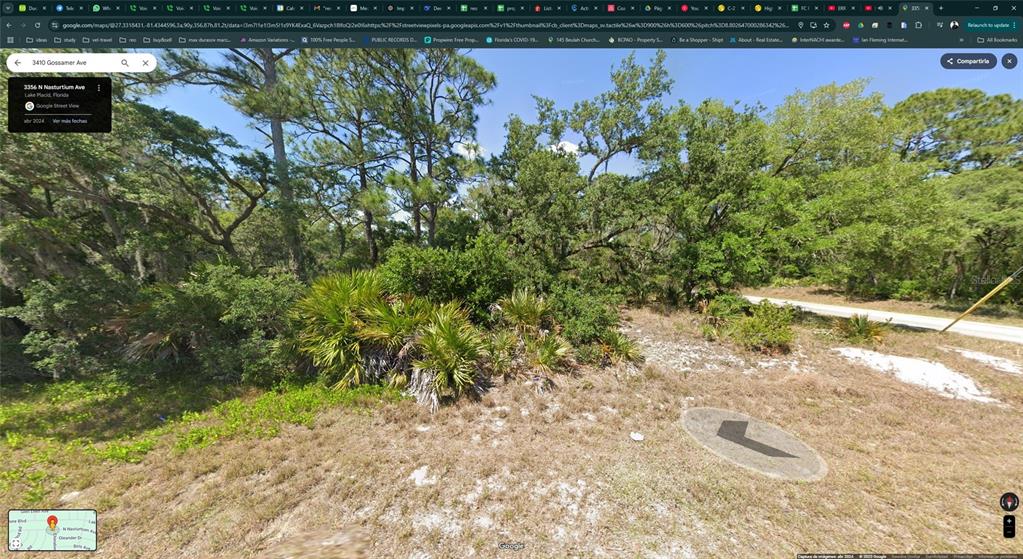 This is a Google Street View image of a vacant, wooded lot with native vegetation — 3410 GOSSAMER AVENUE, LAKE PLACID, FL