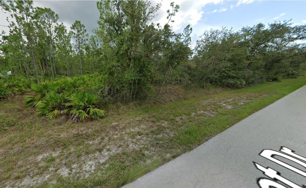 A view of a vacant, wooded lot bordering a paved road — 28041 & 28045 SUNSET DRIVE, PUNTA GORDA, FL
