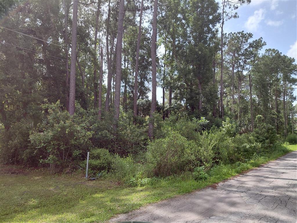 JAMES STREET, ASTOR, FL — photo 2 of 4