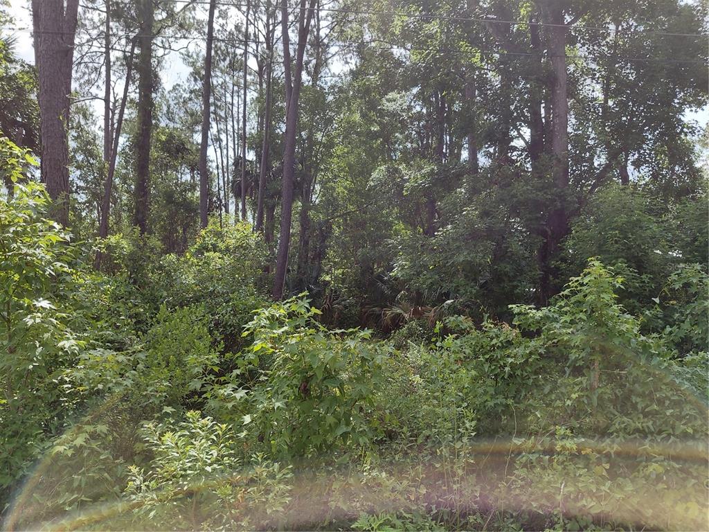 JAMES STREET, ASTOR, FL — photo 3 of 4