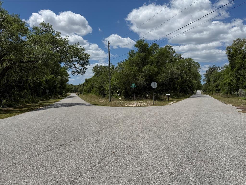 A paved road forks into two directions surrounded by dense trees under a cloudy sky — LEWIS LANE, WEBSTER, FL
