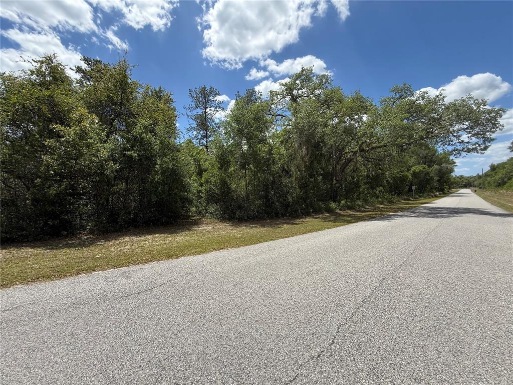 A paved road runs alongside a wooded lot under a blue sky with clouds — LEWIS LANE, WEBSTER, FL