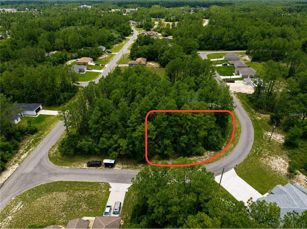 An aerial view shows a wooded, undeveloped residential lot outlined in red along a curved road — UNDETERMINED, OCALA, FL