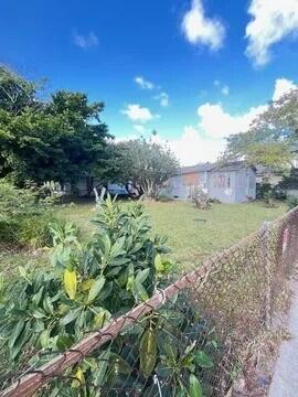A single-story house sits behind a chain-link fence and a large tree — 6312 NW 17th Avenue, Miami FL 33147, MIAMI, FL