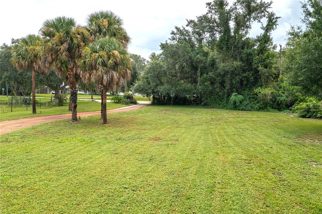 A grassy, open lot features several palm trees and a dirt driveway leading toward trees — 589 THORNBURG ROAD, BABSON PARK, FL