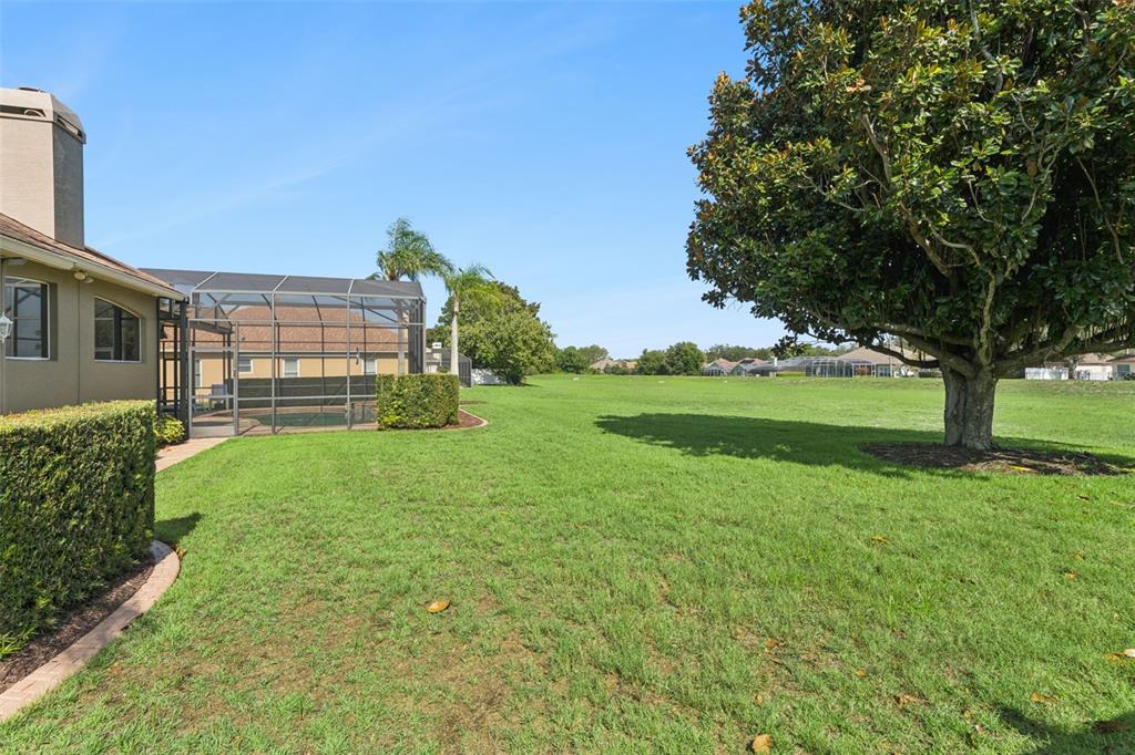 A backyard features a large green lawn, a screened-in pool enclosure, and a mature tree — 3739 WINDING LAKE CIRCLE, ORLANDO, FL