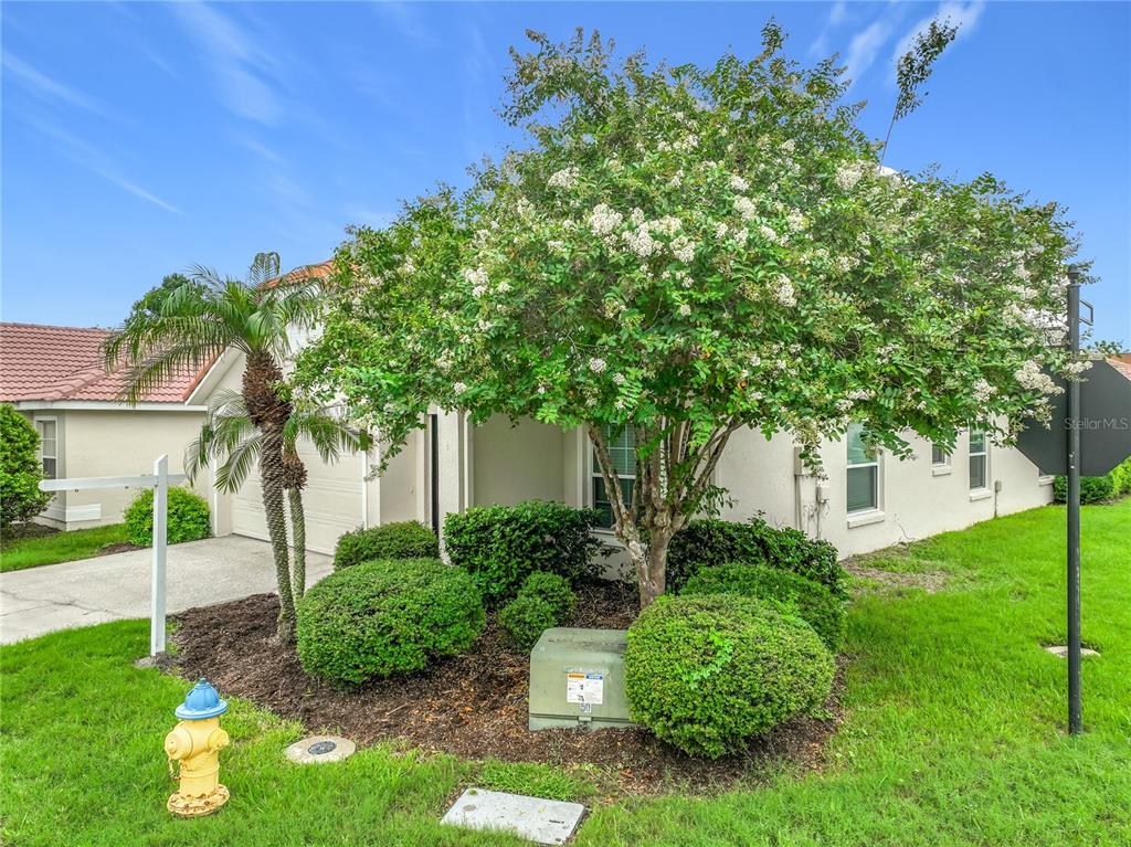 A residential house exterior features a large blooming tree, manicured shrubs, and a fire hydrant — 998 WHITE SPRINGS LANE, WINTER SPRINGS, FL