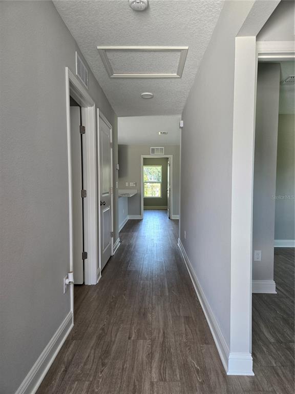 A hallway with gray walls and wood-look flooring leads toward a kitchen and window — 4437 BESSIE CIRCLE E, JACKSONVILLE, FL