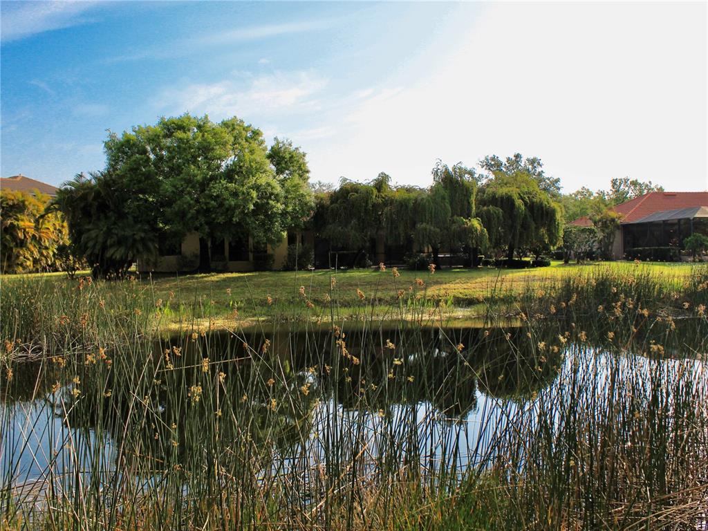 A pond with tall reeds in the foreground sits before a house with mature trees — 406 PETREL TRAIL, BRADENTON, FL