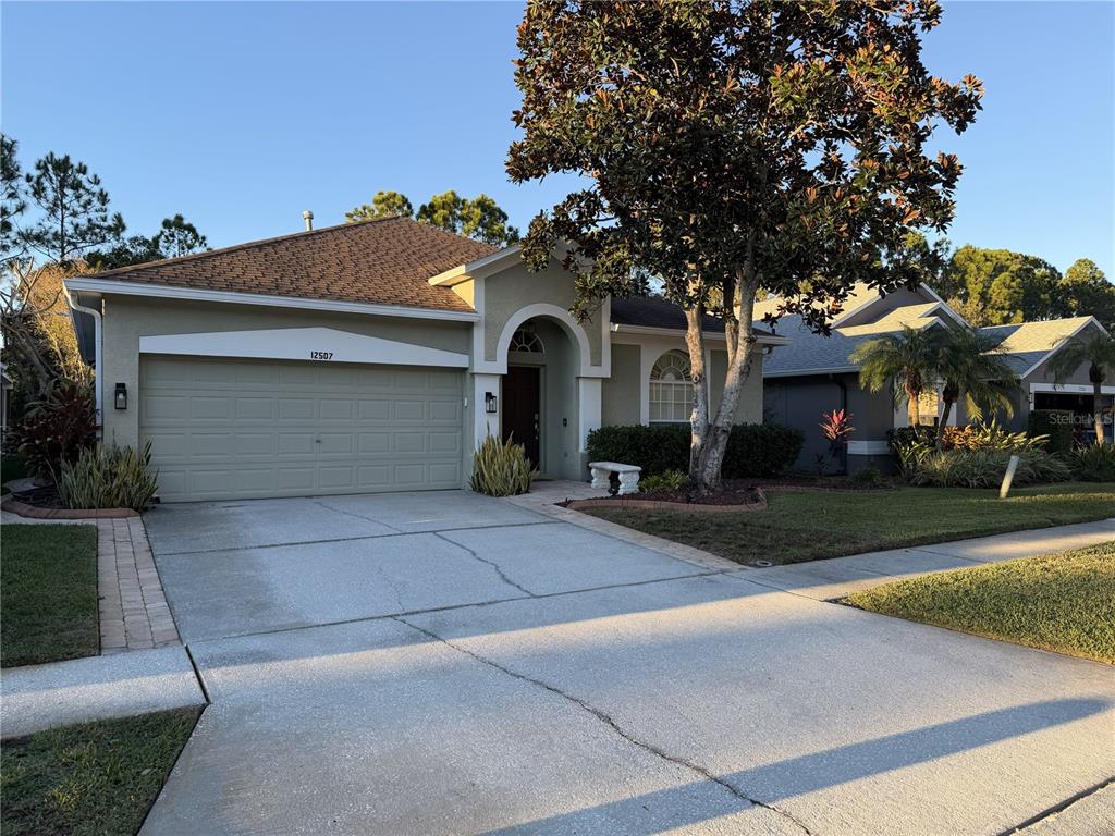 12507 BLAZING STAR DRIVE