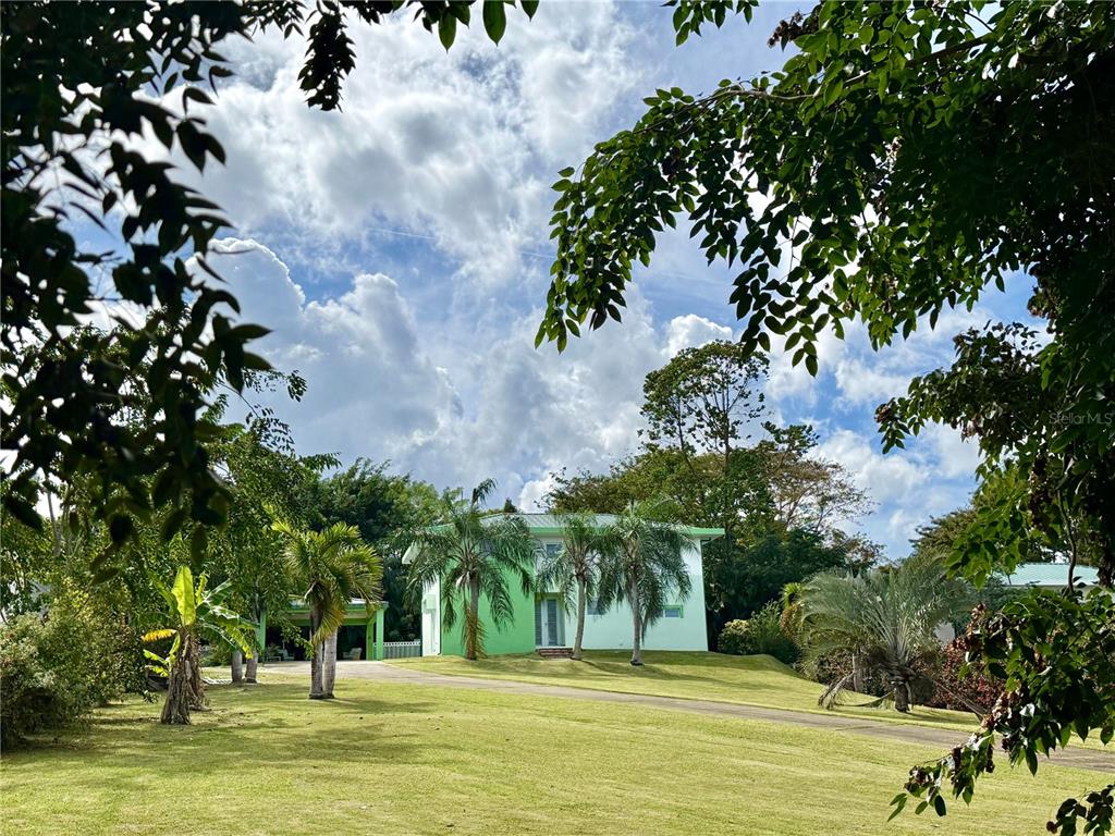 A bright green two-story house sits on a grassy lot surrounded by palm trees — 5 BATEY OESTE UNIT 14, LUQUILLO, PR