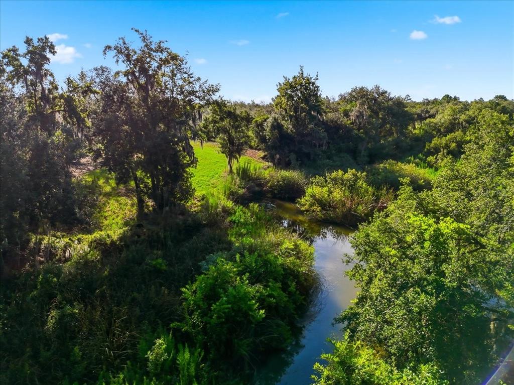 A narrow, winding creek flows through a lush, green landscape filled with mature trees — DEER ROAD, FROSTPROOF, FL