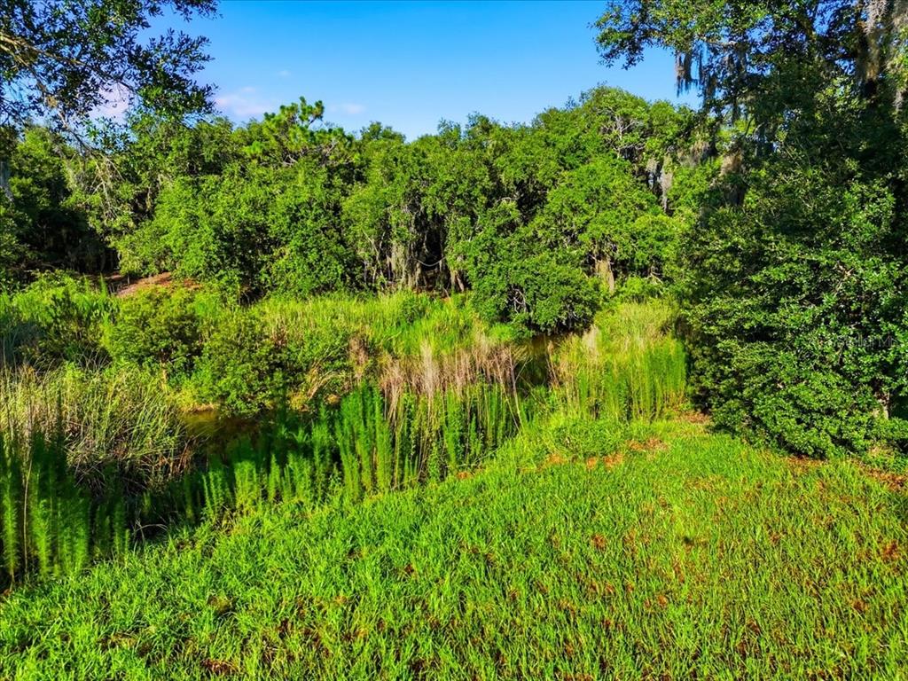 A grassy yard slopes down toward a small creek bordered by dense trees and vegetation — DEER ROAD, FROSTPROOF, FL