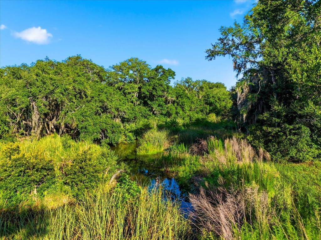 A narrow stream flows through a lush, green wetland area surrounded by dense trees — DEER ROAD, FROSTPROOF, FL