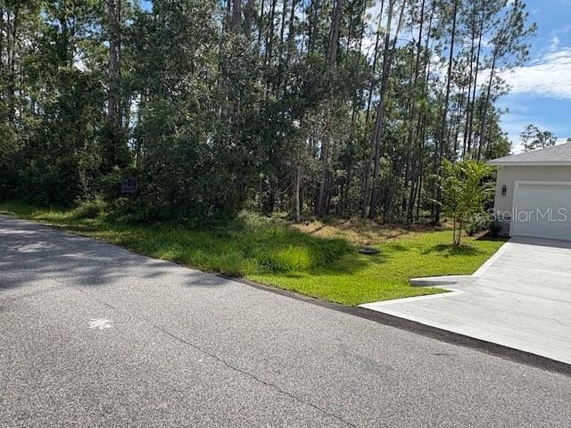 A paved road leads to a concrete driveway next to a wooded lot — 10 SQUIRE COURT, PALM COAST, FL