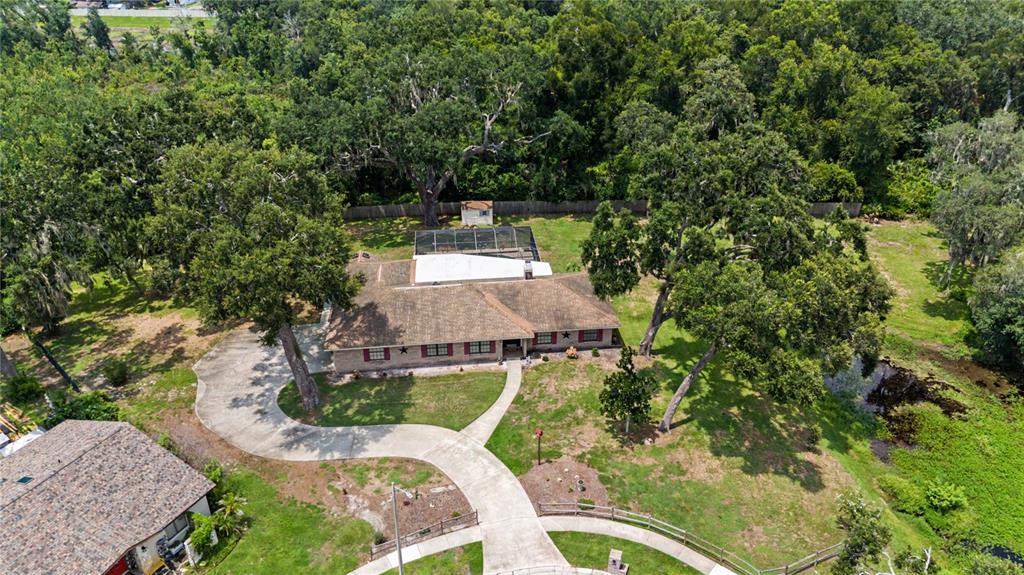 An aerial view shows a single-story house with a screened pool and large surrounding trees — 3901 BUTTONWOOD COURT, BRANDON, FL