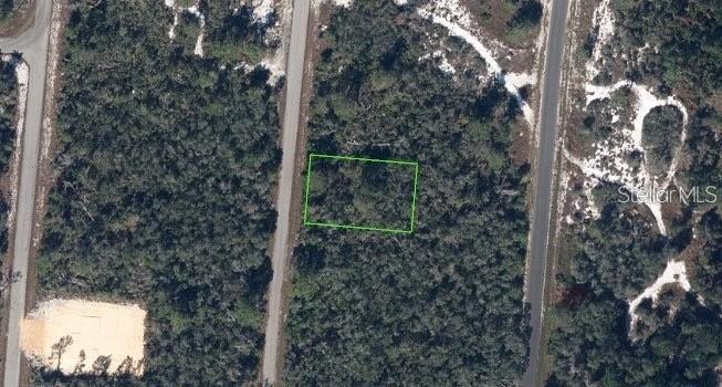 An aerial view shows a rectangular plot of land outlined in green between two roads — 110 DELMAR AVENUE NE, LAKE PLACID, FL