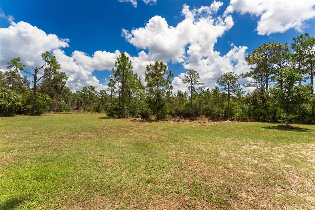 A grassy field stretches toward a dense line of pine trees under a cloudy sky — 32706 OIL WELL ROAD, PUNTA GORDA, FL