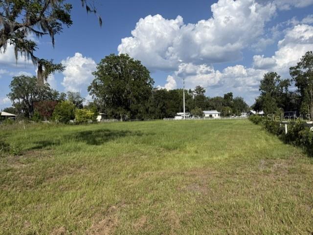 A large, grassy, vacant lot features scattered trees under a bright blue sky — 420 NW 9TH AVENUE, LAKE BUTLER, FL