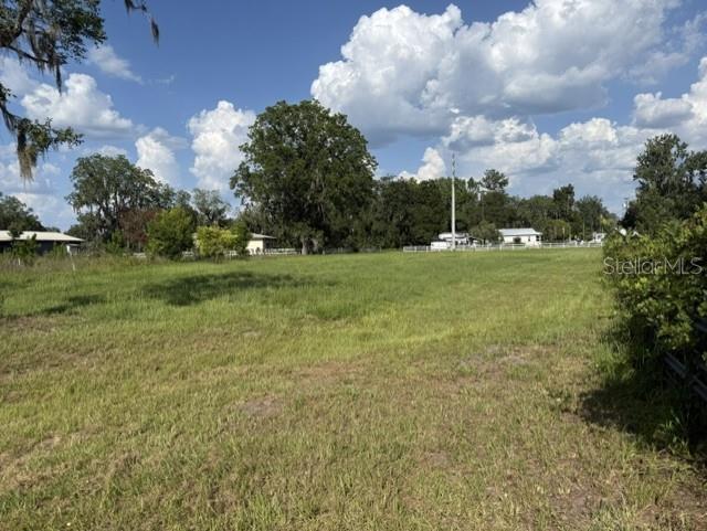 A grassy, open lot features scattered trees under a bright blue sky with white clouds — 420 NW 9TH AVENUE, LAKE BUTLER, FL