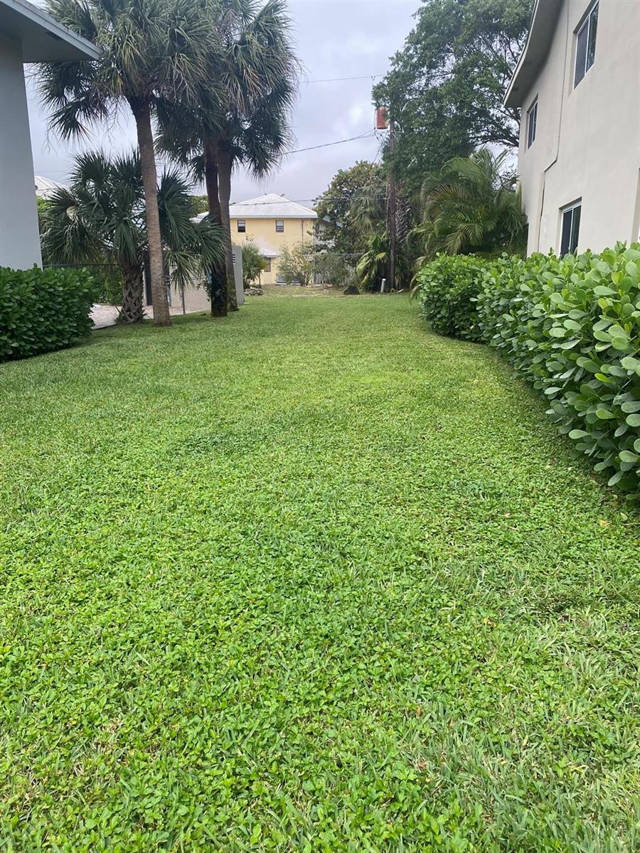 A grassy yard sits between two buildings with palm trees and hedges on the sides — 225 SW 7th Street # 101, Boca Raton FL 33432, BOCA RATON, FL