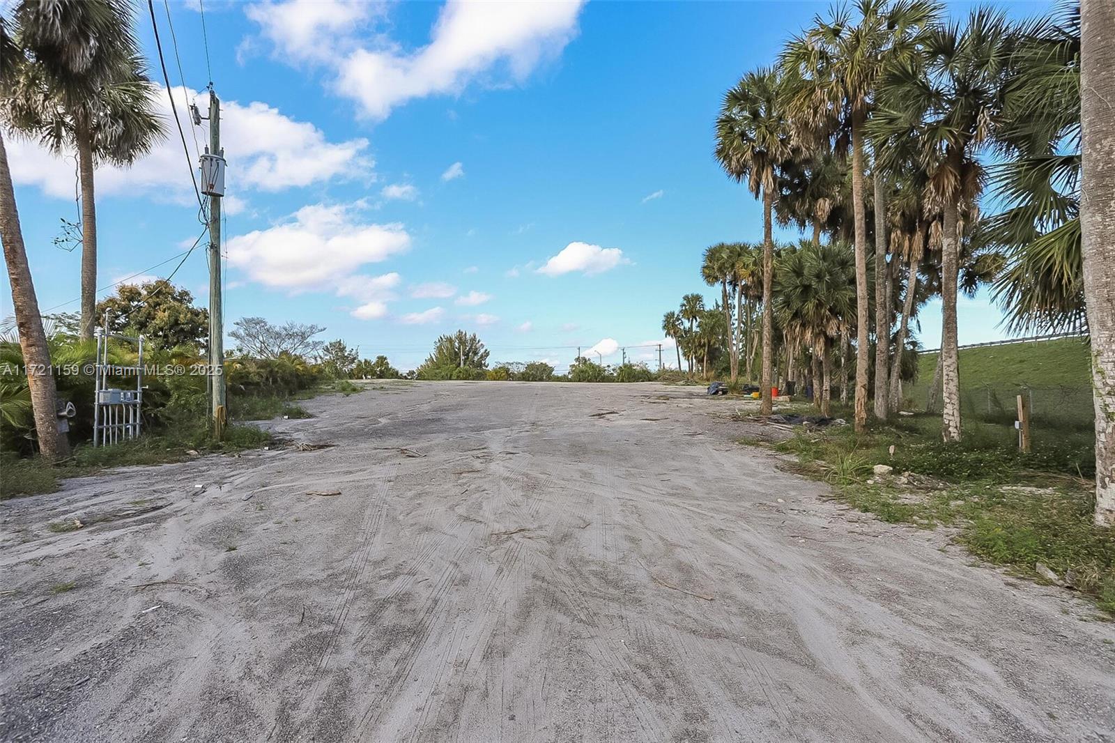 A wide, unpaved dirt lot is bordered by palm trees and a utility pole — 7601 Ellen Ln, West Palm Beach FL 33411, WEST PALM BEACH, FL