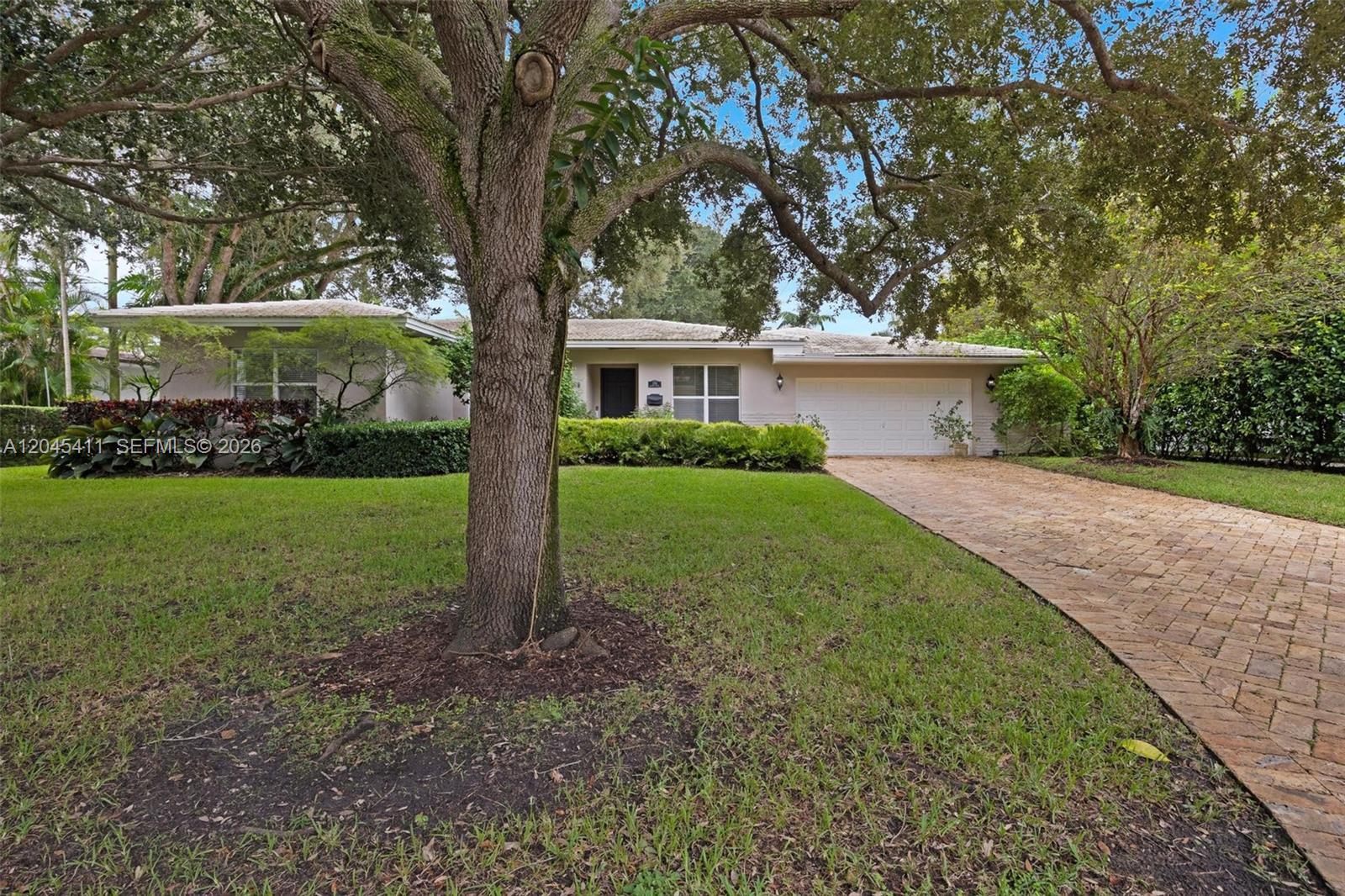 A single-story house with a brick driveway and a large tree in the front yard — 1246 Algardi Ave, Coral Gables FL 33146, CORAL GABLES, FL