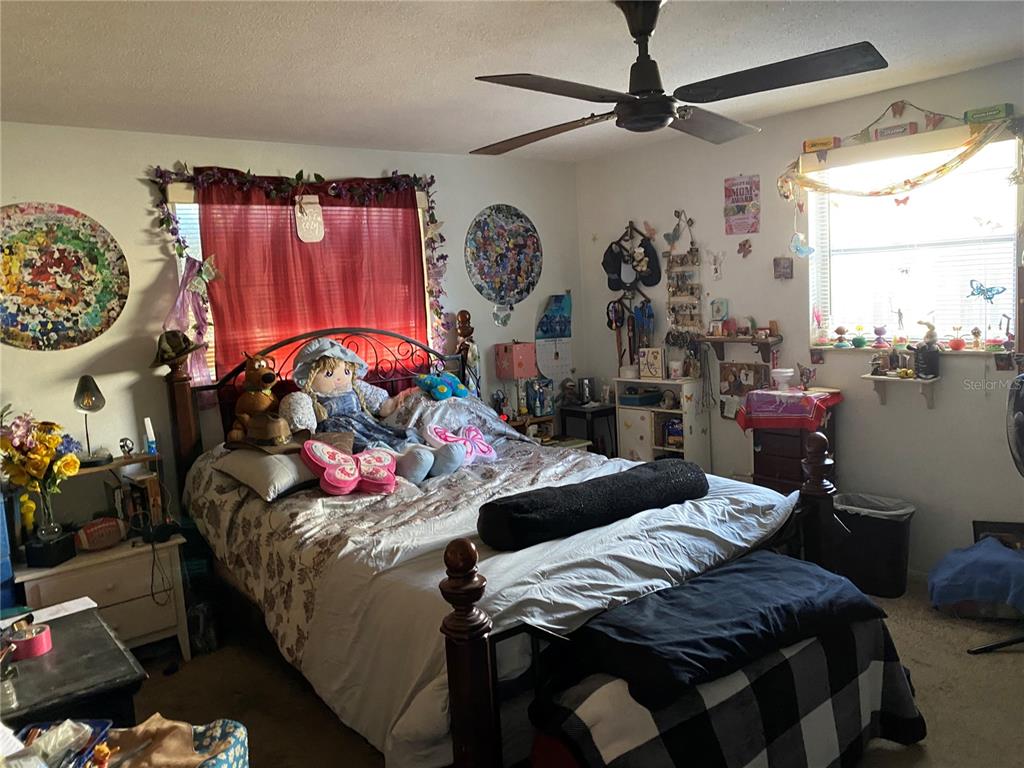 A bedroom features a bed with a metal frame, a ceiling fan, and a window — 10018 CHERRY CREEK LANE, PORT RICHEY, FL