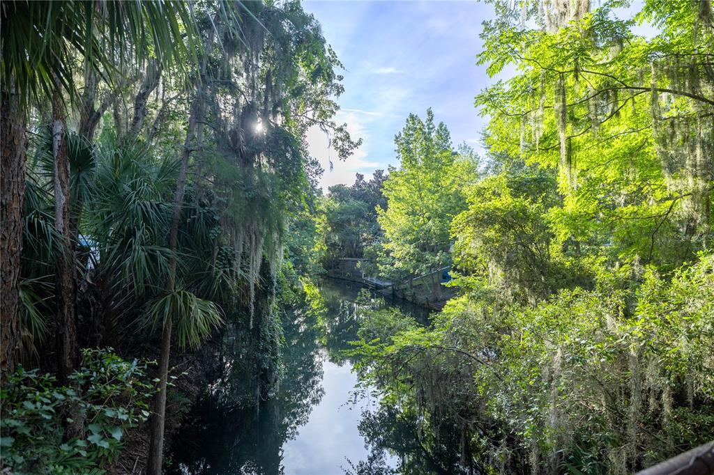 A view of a narrow, tree-lined canal with Spanish moss hanging from the surrounding trees — TBD NE 303RD COURT, SALT SPRINGS, FL