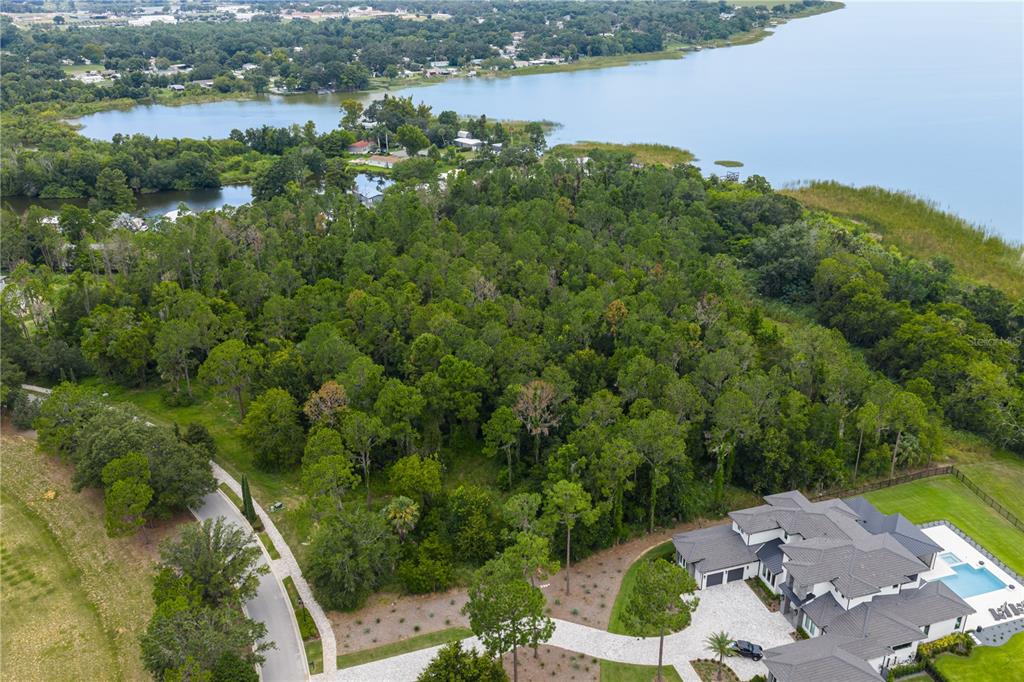 An aerial view shows a large wooded lot next to a house and a lake — 17001 LUCCA LANE, BELLA COLLINA, FL