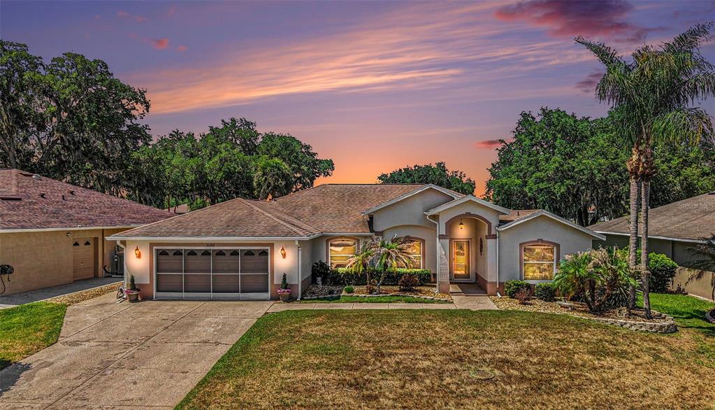 A single-story house with a tan stucco exterior, a two-car garage, and a palm tree — 11132 MOSHIE LANE, SAN ANTONIO, FL