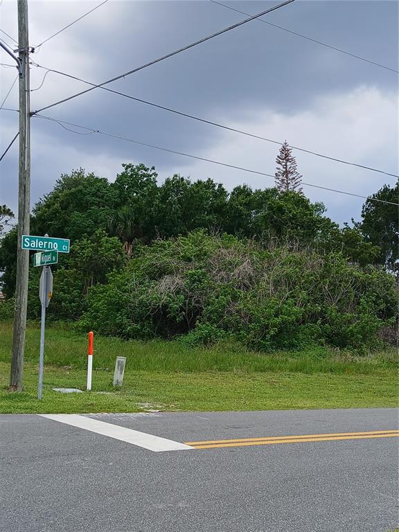 A street corner with a sign for Salerno Court and a vacant, overgrown grassy lot — 900 SALERNO COURT, KISSIMMEE, FL