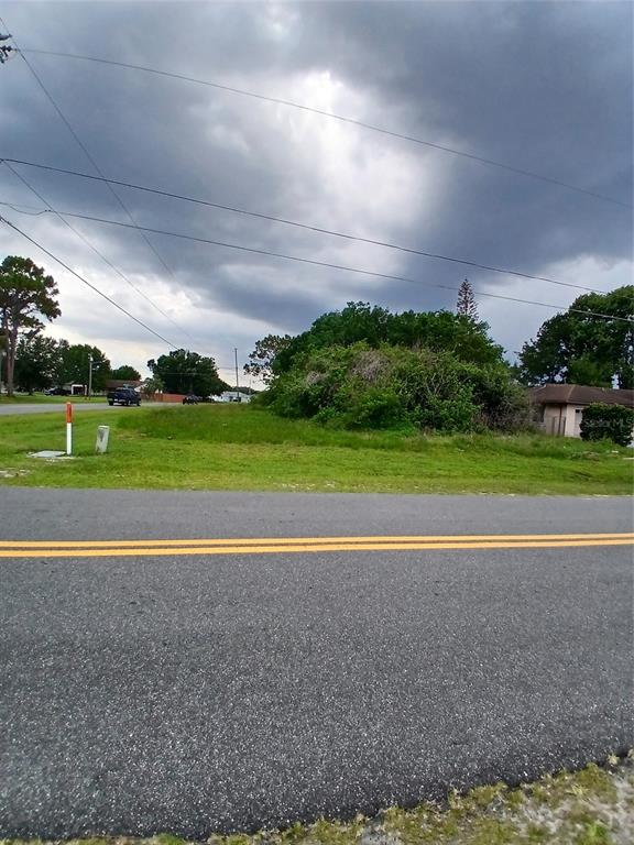 A vacant, grassy lot with dense vegetation sits alongside a paved road under a cloudy sky — 900 SALERNO COURT, KISSIMMEE, FL