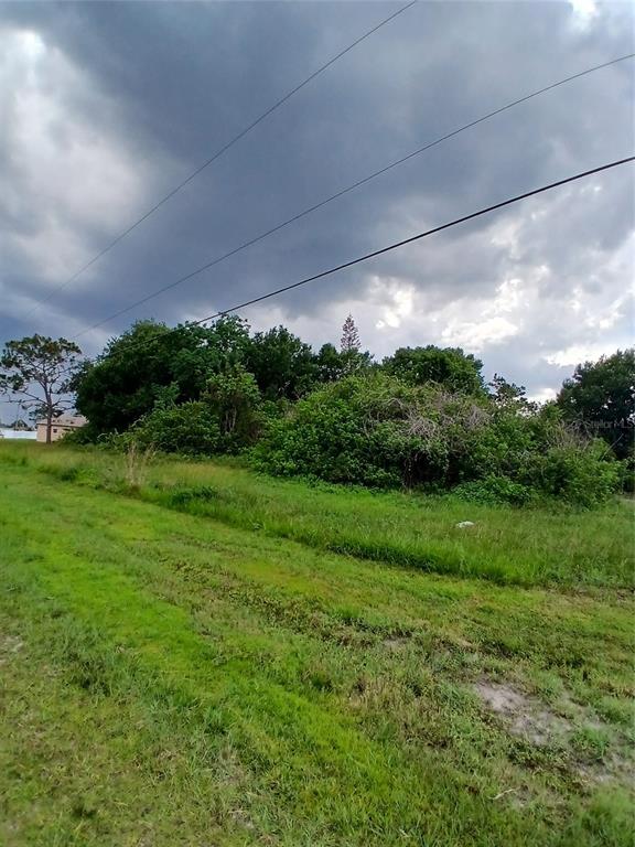 A grassy, undeveloped lot features dense trees and shrubs under a cloudy sky — 900 SALERNO COURT, KISSIMMEE, FL