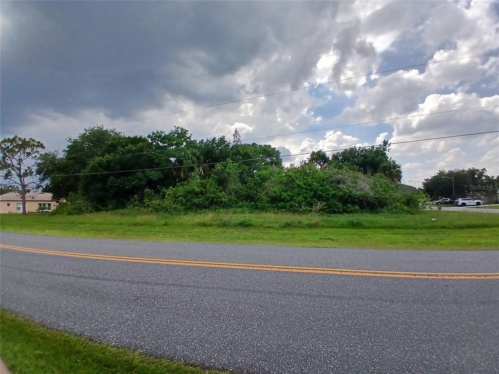 A vacant, overgrown lot sits alongside a paved road under a cloudy sky — 900 SALERNO COURT, KISSIMMEE, FL