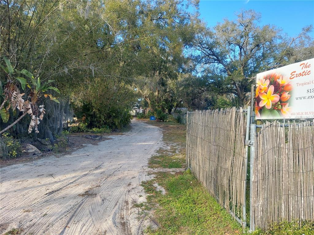 A dirt driveway leads past a bamboo fence and trees toward a property entrance — 453 W DR MARTIN LUTHER KING JR BOULEVARD, SEFFNER, FL