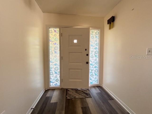 An entryway features a white front door with sidelights, wood-look flooring, and light-colored walls — 121 E PINE ST, HOWEY IN THE HILLS, FL