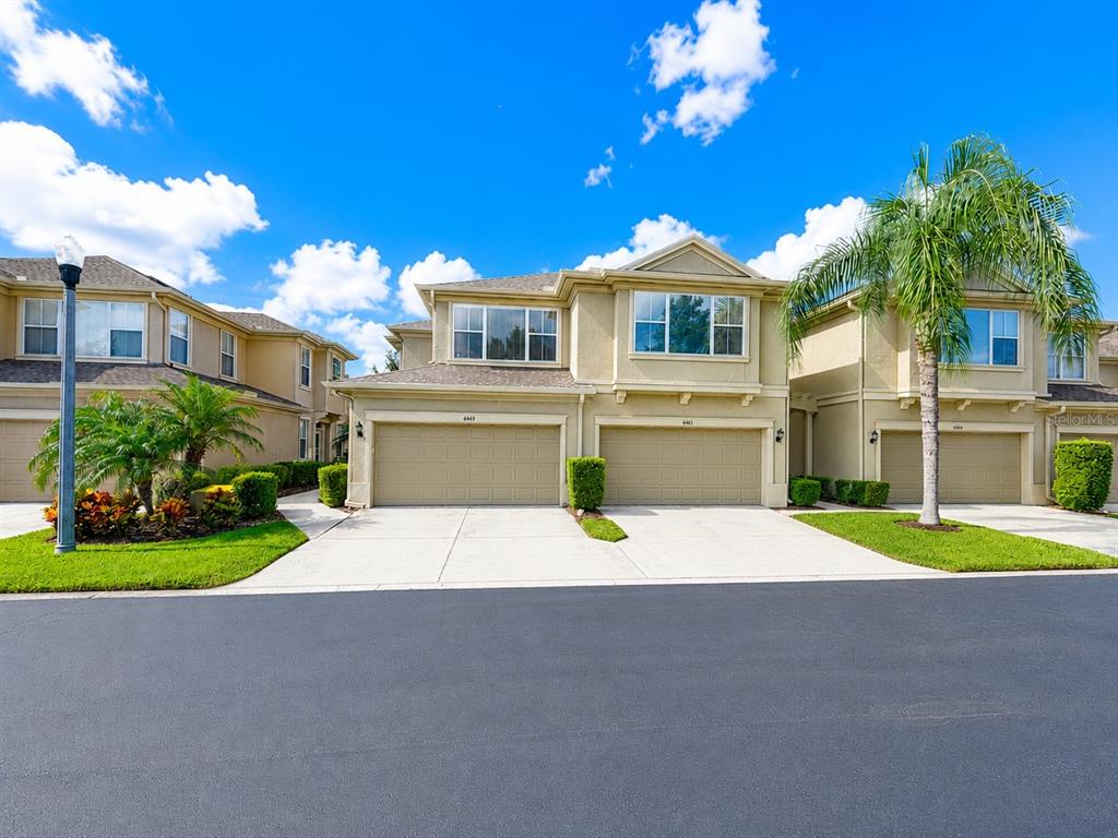 A row of multi-story townhomes features beige stucco exteriors, attached garages, and a palm tree — 6648 83RD AVENUE N, PINELLAS PARK, FL