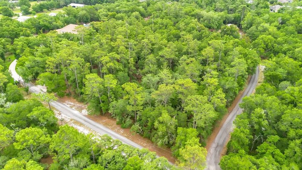An aerial view shows a wooded, undeveloped corner lot bordered by two paved roads — 1121 SILVER SADDLE TRAIL, DELAND, FL