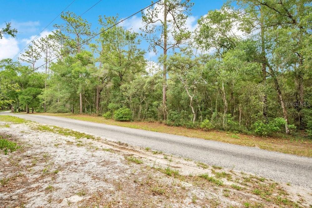 A paved road runs alongside a wooded area with tall trees under a blue sky — 1121 SILVER SADDLE TRAIL, DELAND, FL