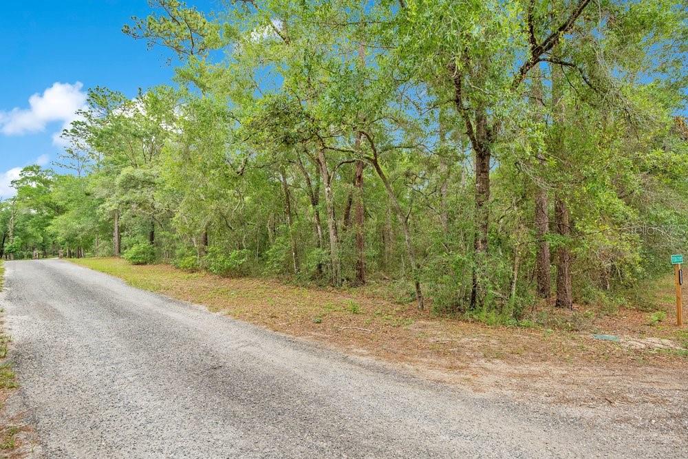 A gravel road runs alongside a wooded lot with tall trees under a blue sky — 1121 SILVER SADDLE TRAIL, DELAND, FL