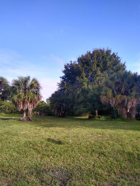 81 LONG MEADOW PLACE