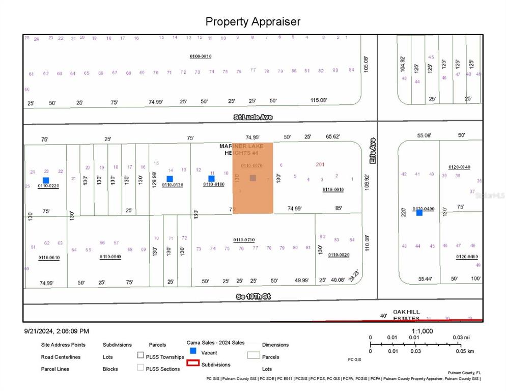 This is a property appraiser map showing parcel boundaries and lot dimensions in a subdivision — 113-117 SAINT LUCIE AVENUE, INTERLACHEN, FL